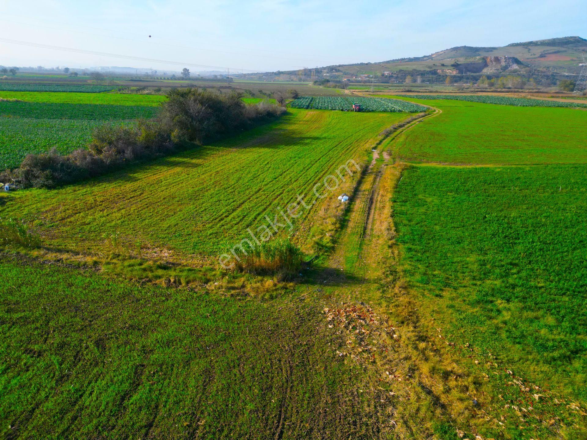|bursa| Karacabey'e 10 Dakika Çay'a Cephe Resmi Yolu Olan Arazi! - Görsel 26