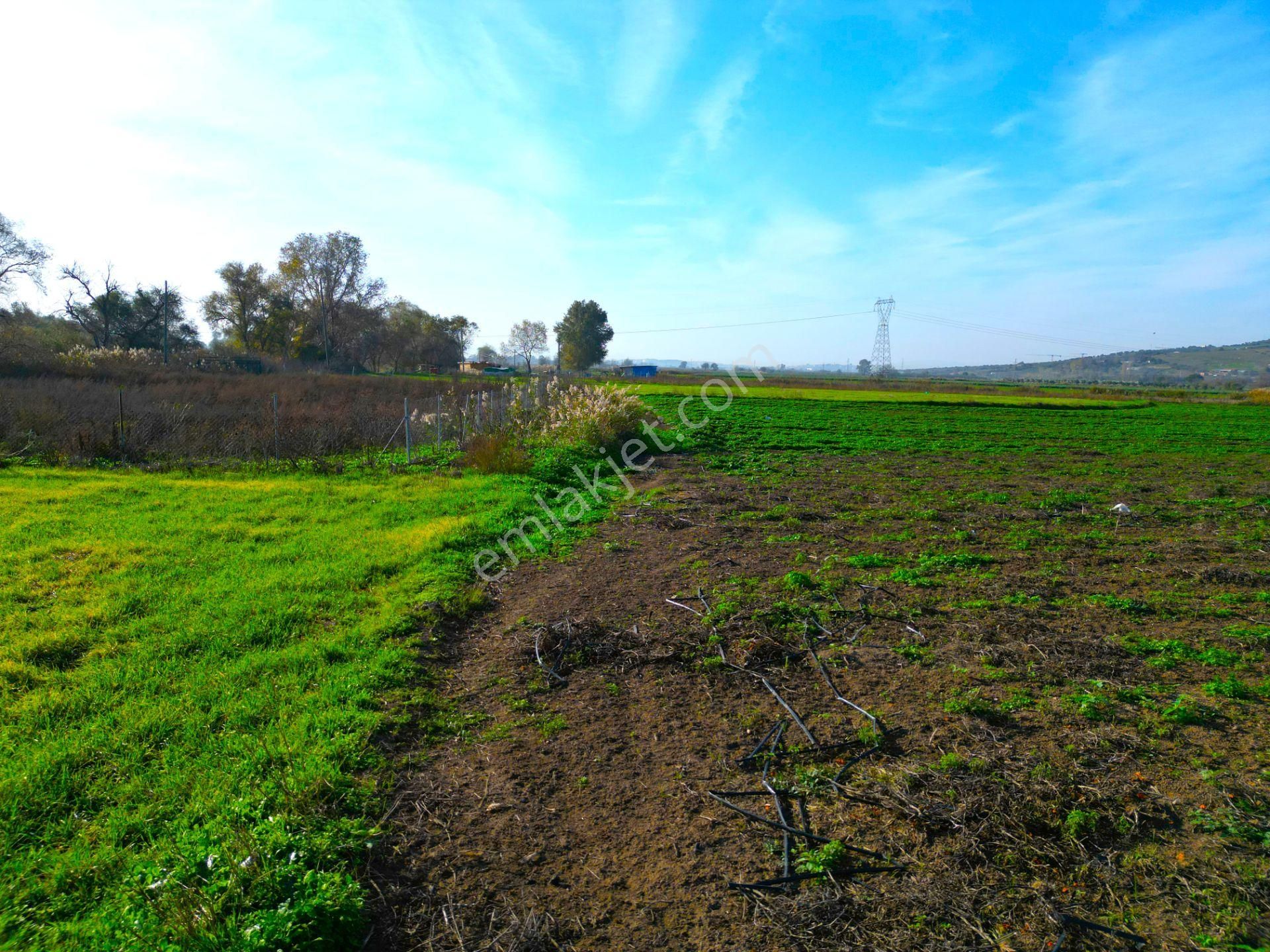 |bursa| Karacabey'e 10 Dakika Çay'a Cephe Resmi Yolu Olan Arazi! - Görsel 22