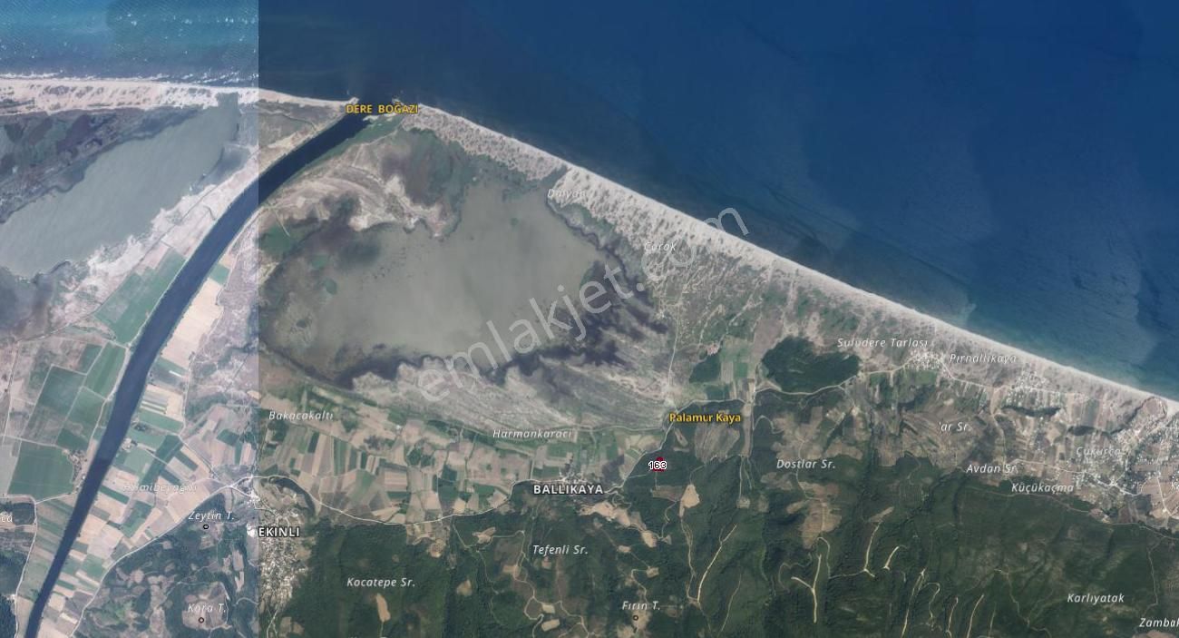 |bursa| Ormanın İçinde Deniz Manzaralı Emsali Bulunamayacak Zeytinlik - Görsel 19