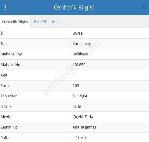 |bursa| Ormanın İçinde Deniz Manzaralı Emsali Bulunamayacak Zeytinlik - Görsel 6