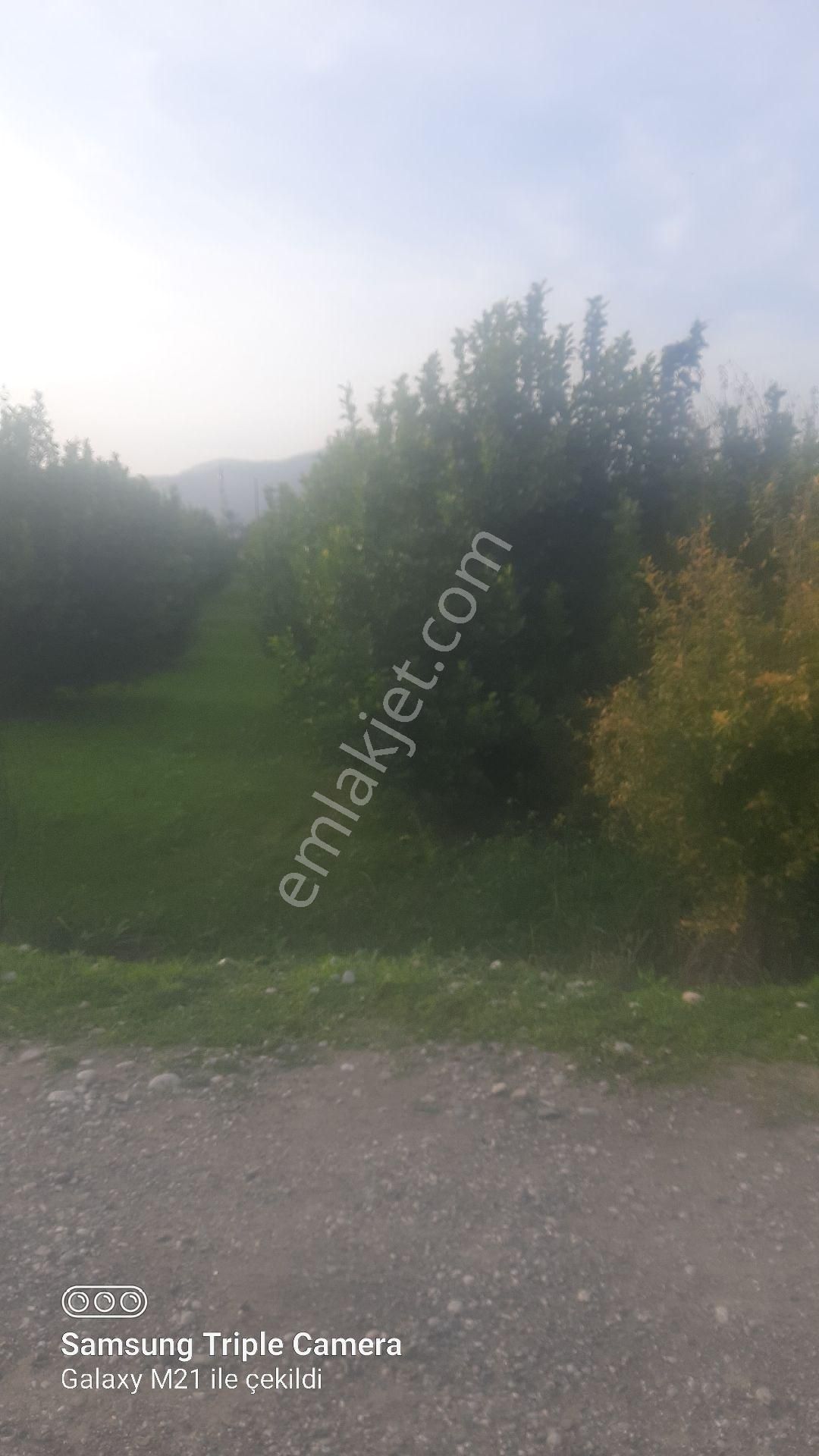Lütfen Açıklamayı Okuyunuz. Ortaca Akıncıda Devirli 3 Parsel - Görsel 6
