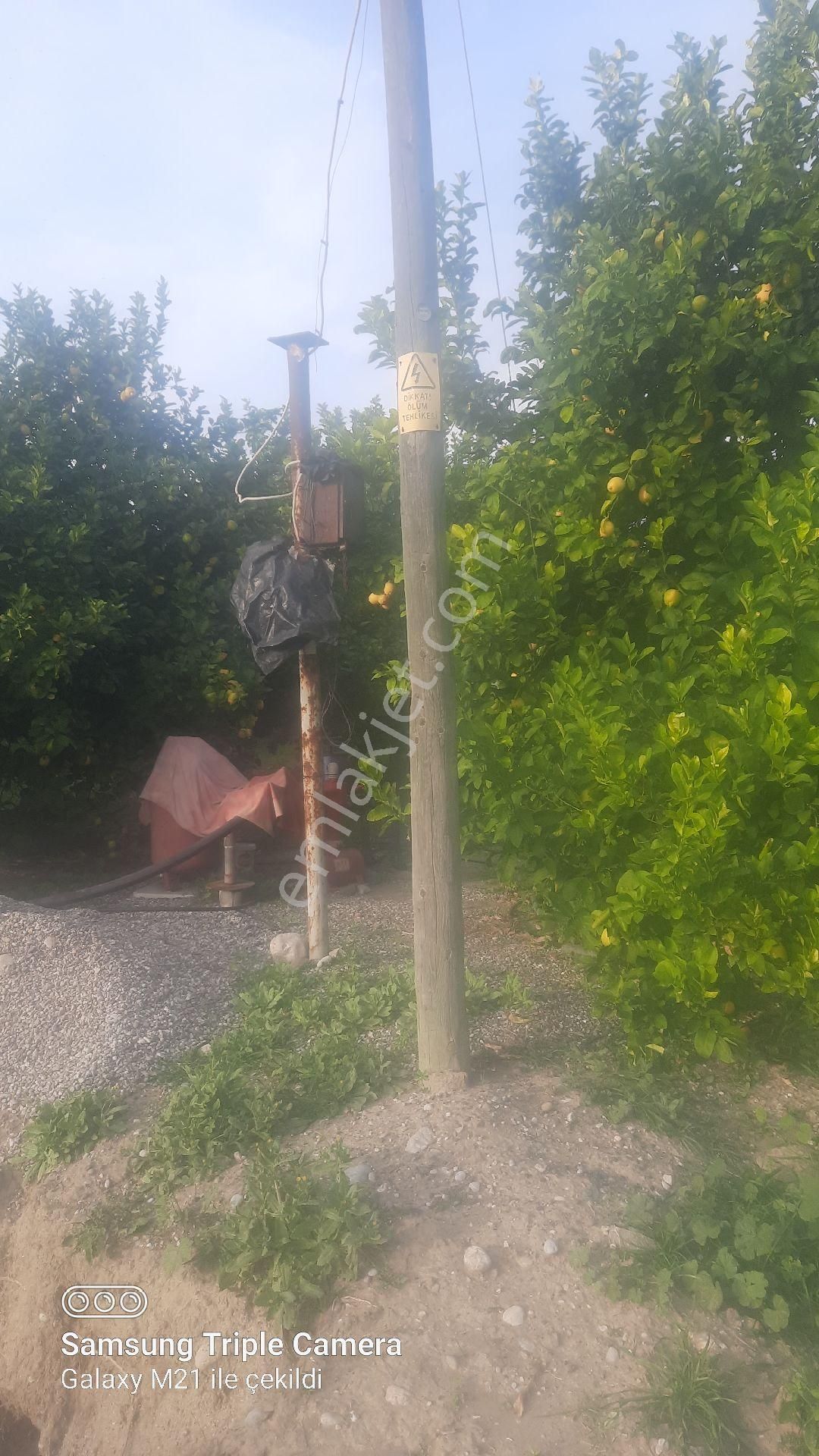 Lütfen Açıklamayı Okuyunuz. Ortaca Akıncıda Devirli 3 Parsel - Görsel 19