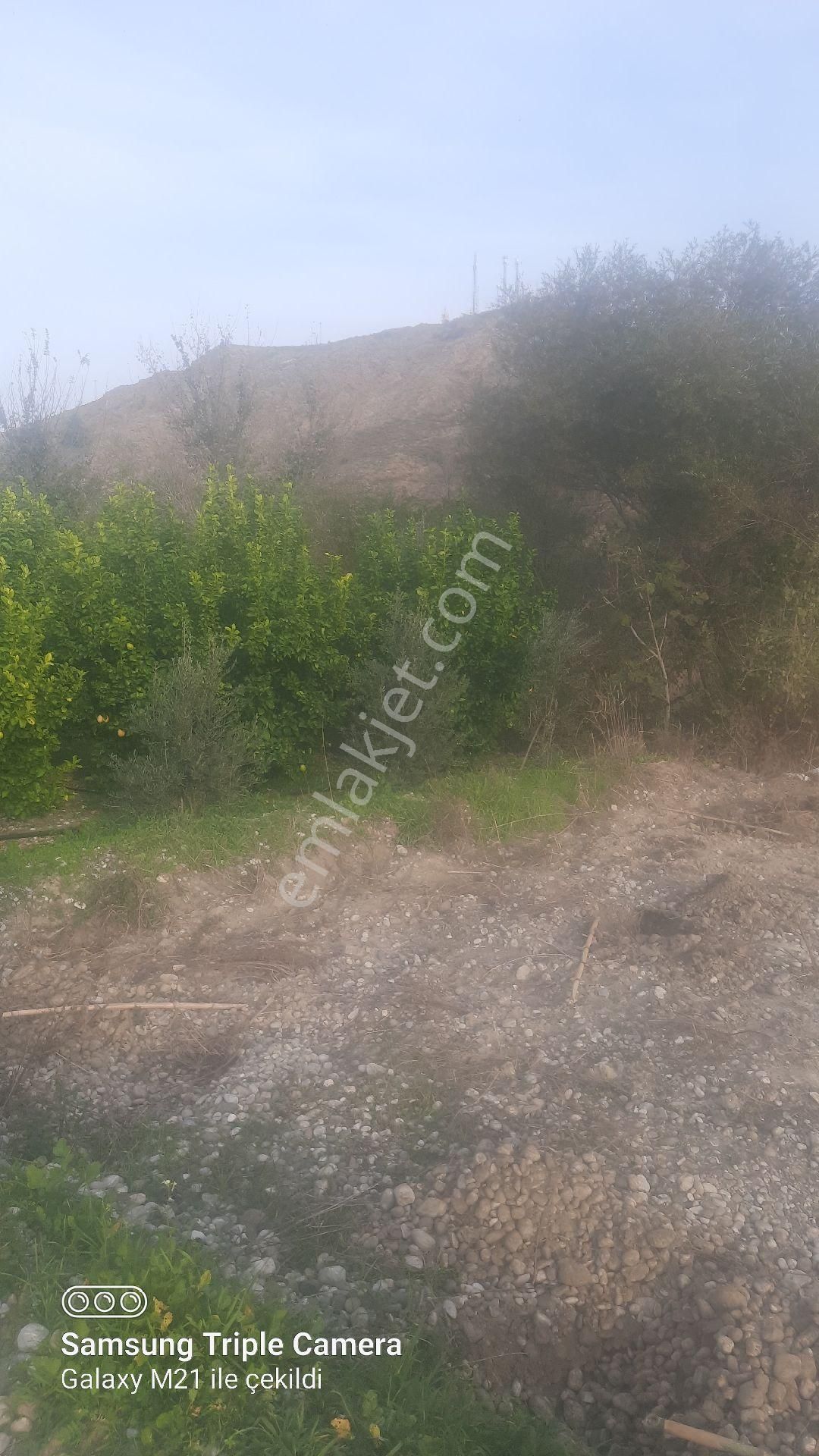 Lütfen Açıklamayı Okuyunuz. Ortaca Akıncıda Devirli 3 Parsel - Görsel 2