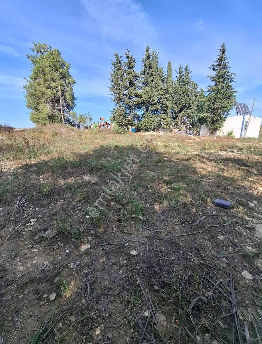 Evrenler Yavşi Mahallesi'nde 800 Metre² Hisse Tarla Satılıktır - Görsel 6