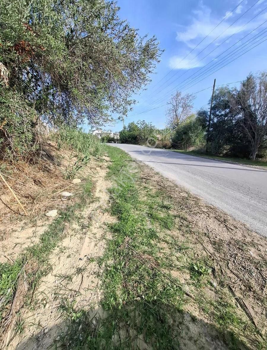 Evrenler Yavşi Mahallesi'nde 800 Metre² Hisse Tarla Satılıktır - Görsel 16