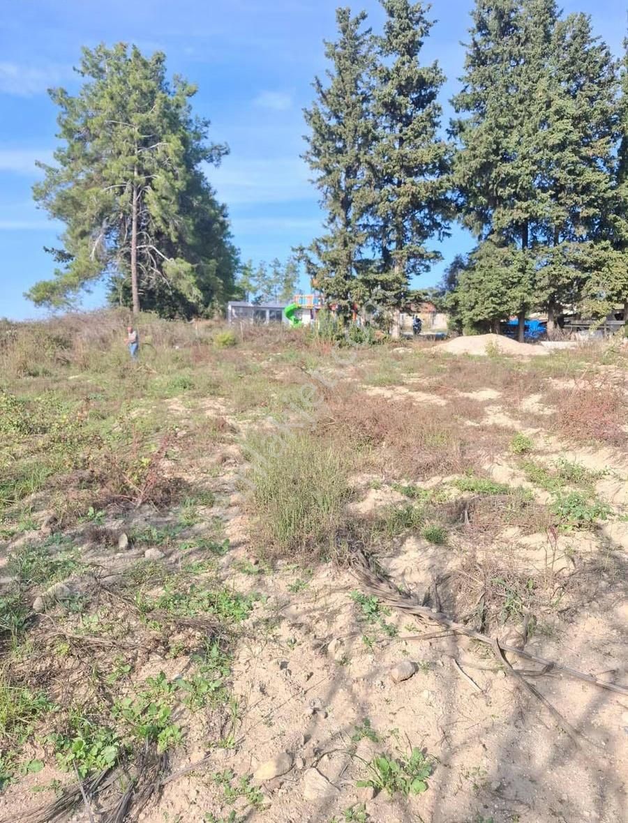 Evrenler Yavşi Mahallesi'nde 800 Metre² Hisse Tarla Satılıktır - Görsel 11