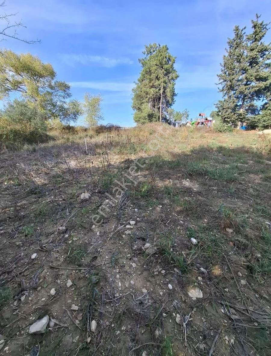 Evrenler Yavşi Mahallesi'nde 800 Metre² Hisse Tarla Satılıktır - Görsel 13