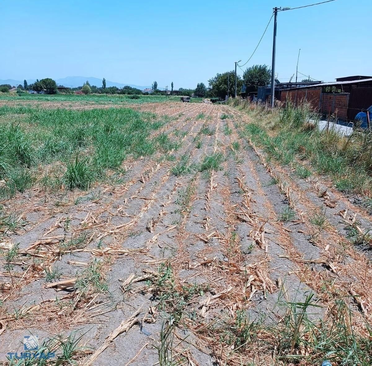 Turyap'tan Bayındır Yeşilova Köy İçinde 10.032 M2 Satılık Tarla - Görsel 5