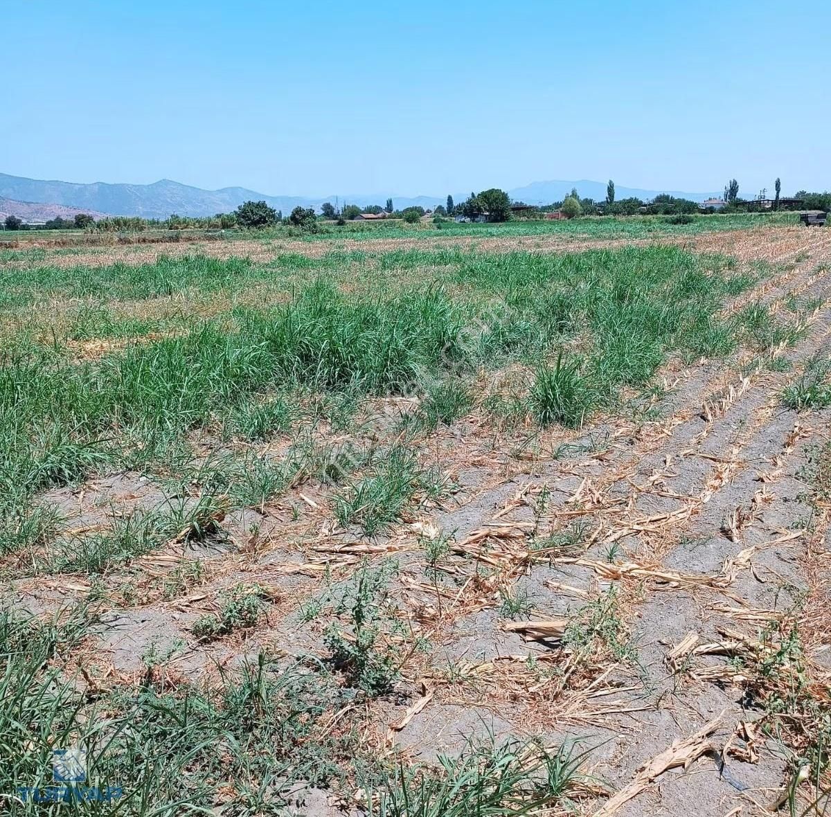 Turyap'tan Bayındır Yeşilova Köy İçinde 10.032 M2 Satılık Tarla - Görsel 8