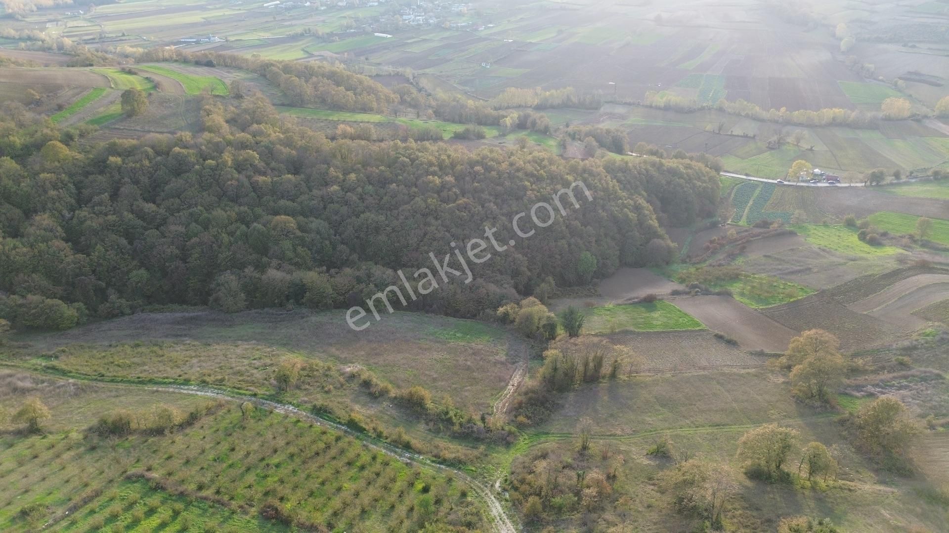Kaynarca Şehytımarı Köyünde Asfalt Yola Yakın Tarla - Görsel 18