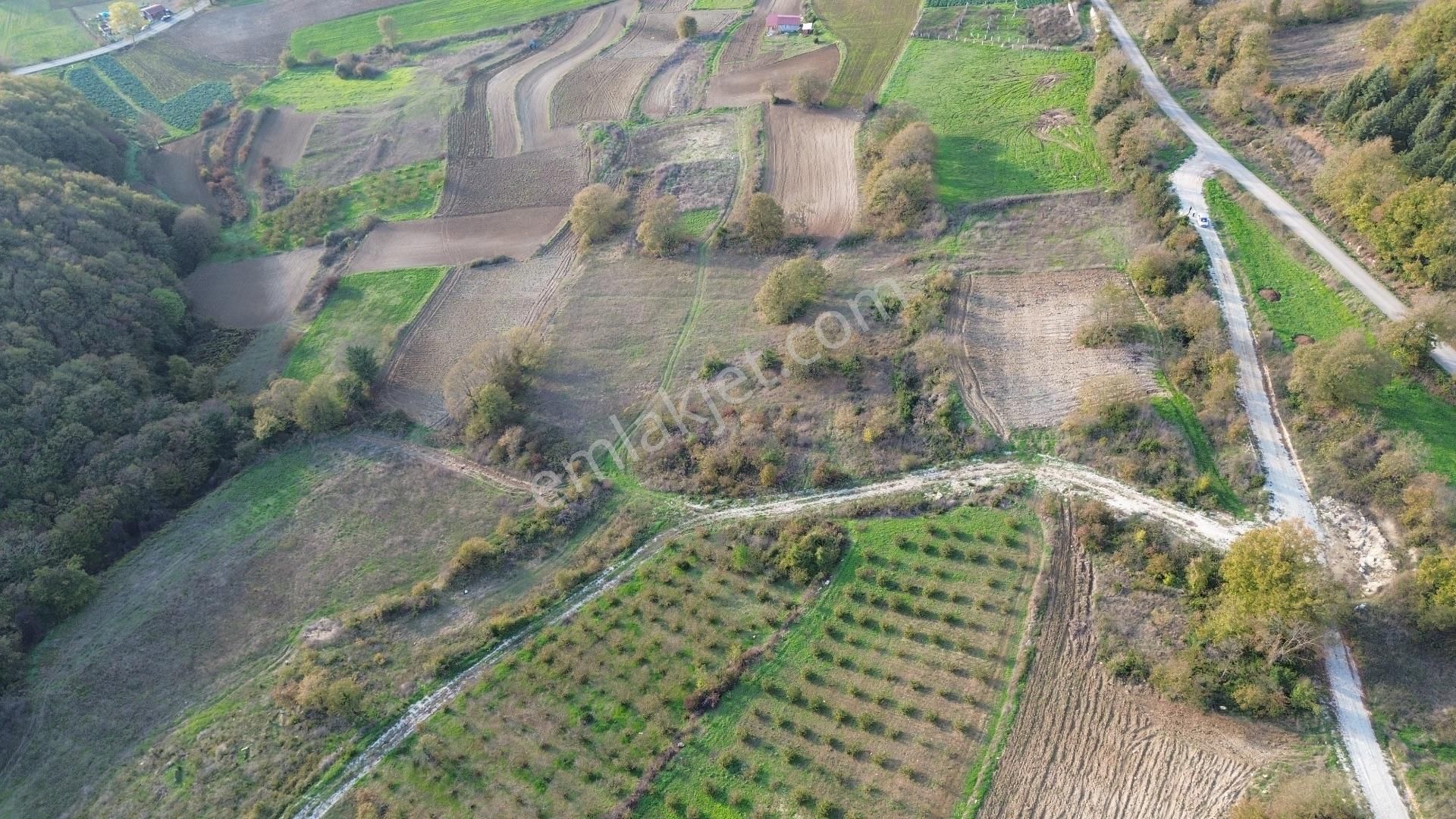 Kaynarca Şehytımarı Köyünde Asfalt Yola Yakın Tarla - Görsel 21