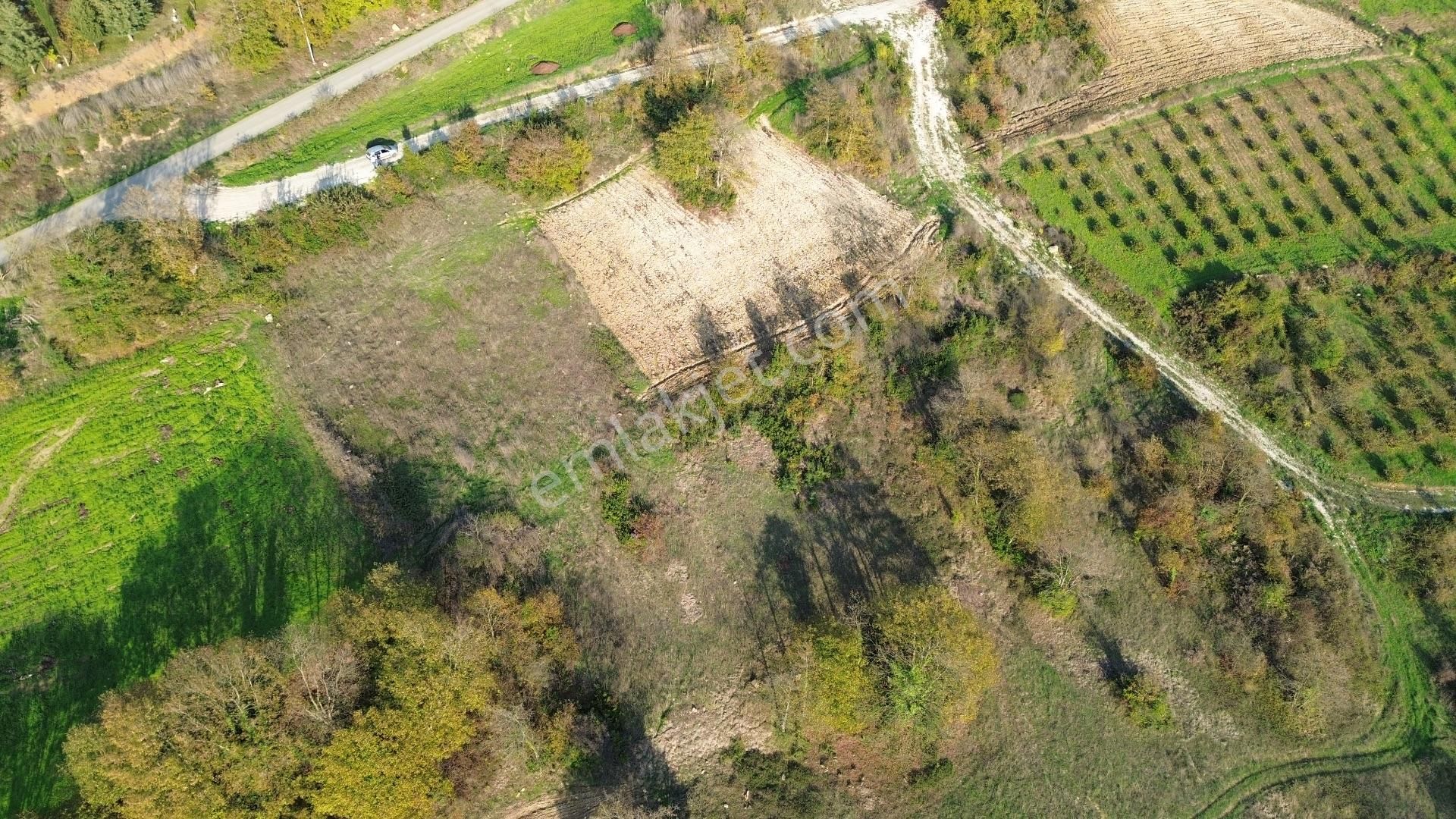 Kaynarca Şehytımarı Köyünde Asfalt Yola Yakın Tarla - Görsel 8