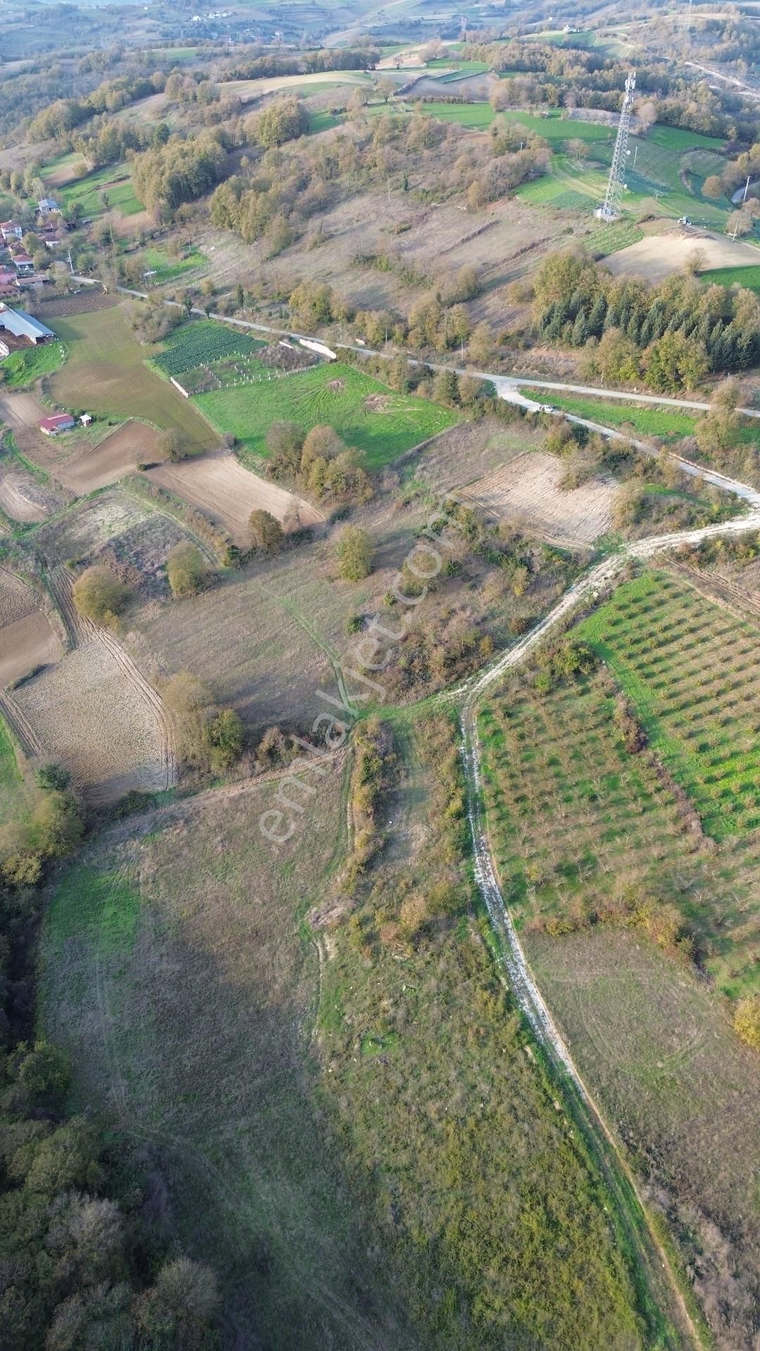 Kaynarca Şehytımarı Köyünde Asfalt Yola Yakın Tarla - Görsel 24