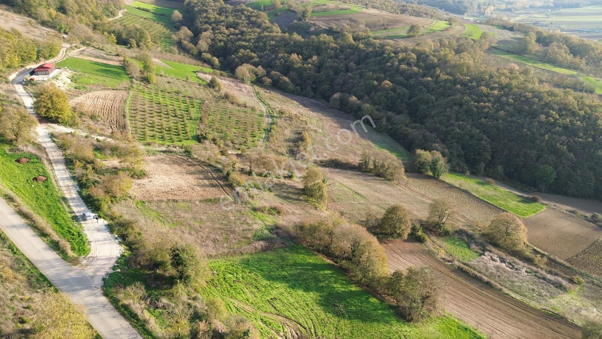 Kaynarca Şehytımarı Köyünde Asfalt Yola Yakın Tarla - Görsel 3