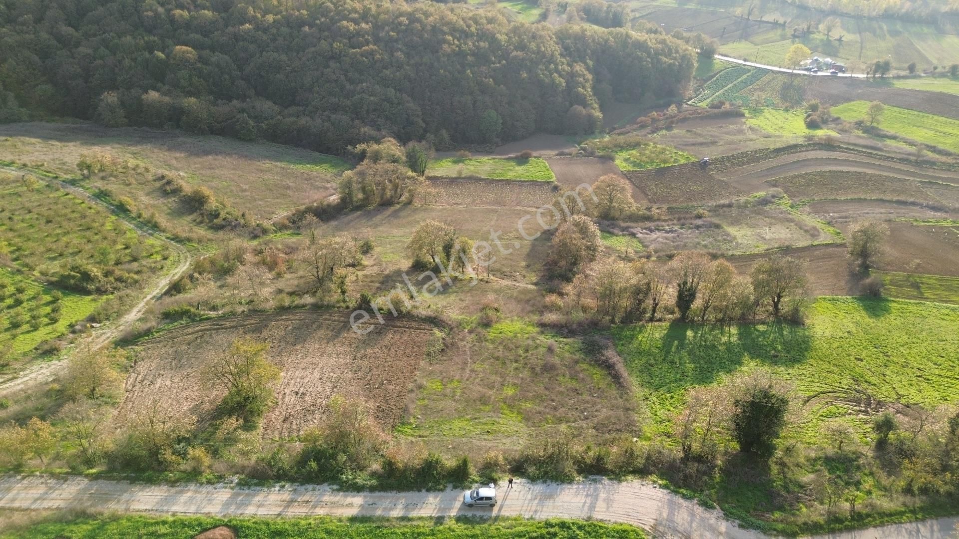 Kaynarca Şehytımarı Köyünde Asfalt Yola Yakın Tarla