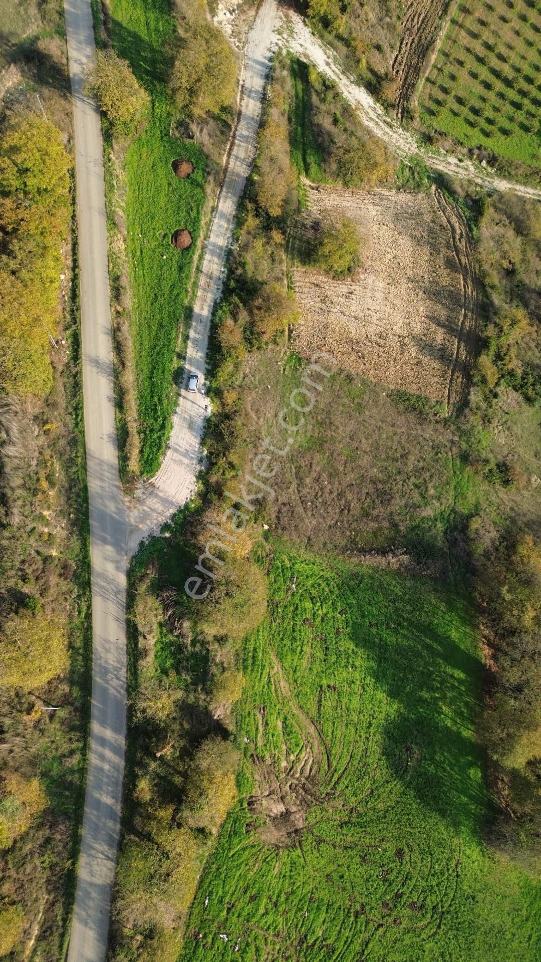 Kaynarca Şehytımarı Köyünde Asfalt Yola Yakın Tarla - Görsel 13