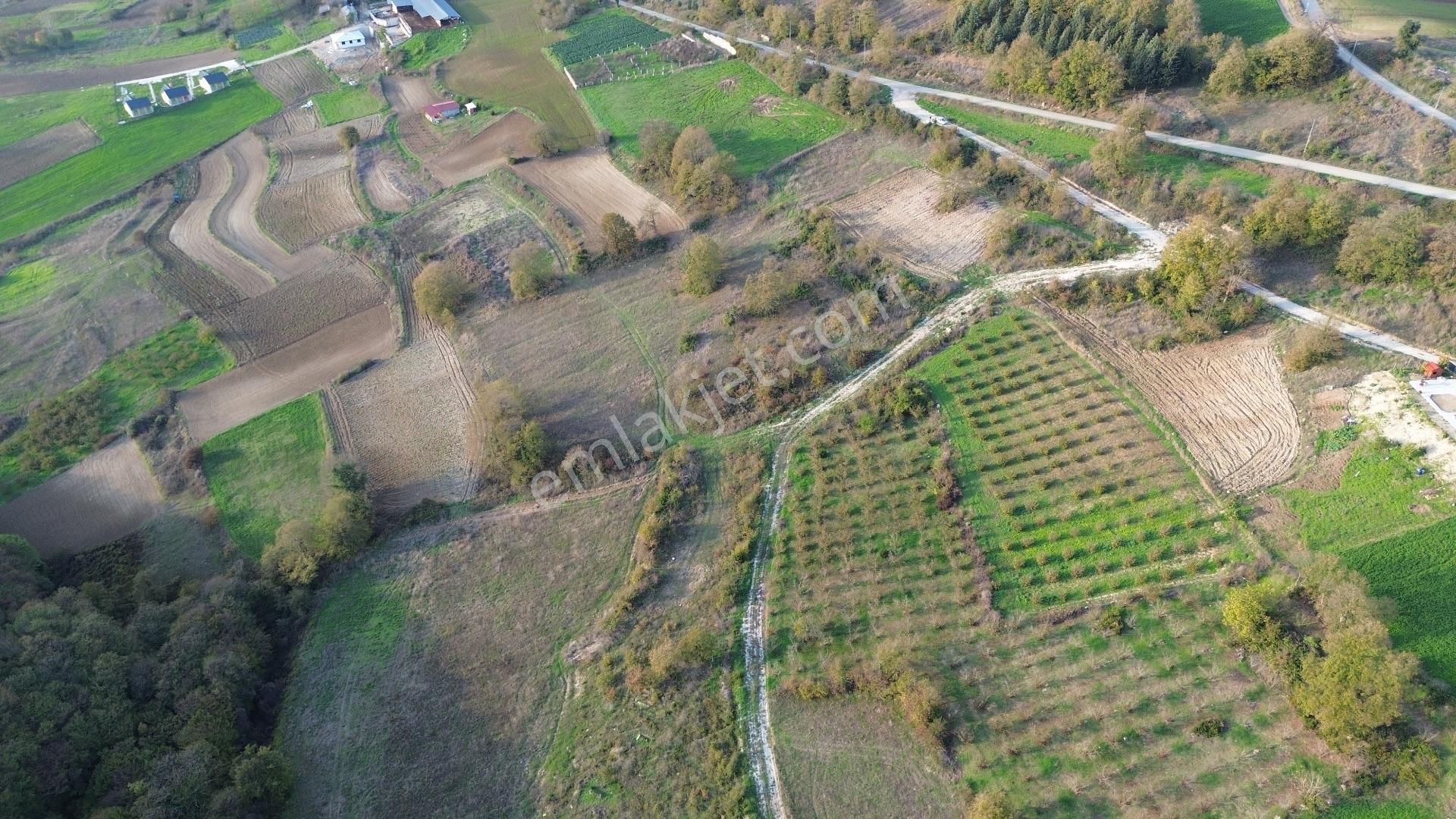 Kaynarca Şehytımarı Köyünde Asfalt Yola Yakın Tarla - Görsel 23