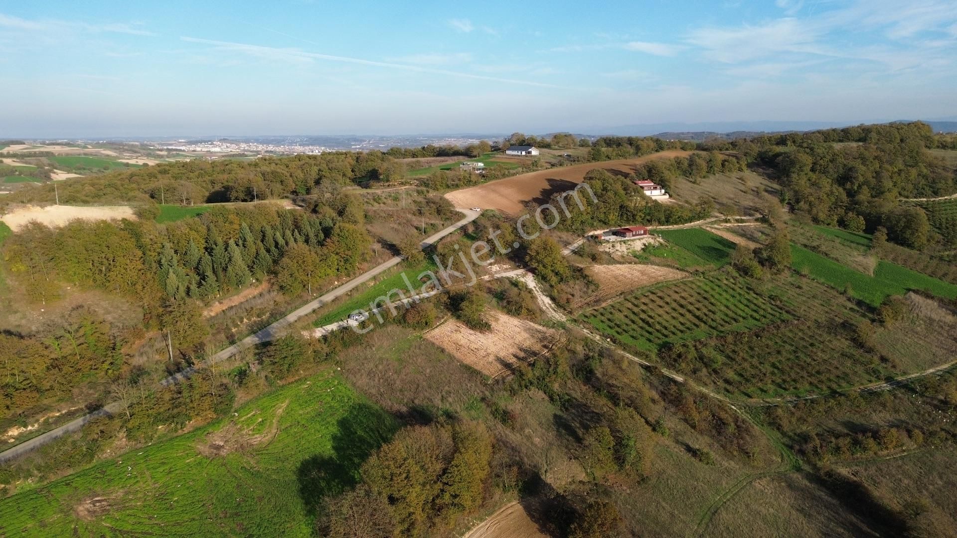 Kaynarca Şehytımarı Köyünde Asfalt Yola Yakın Tarla - Görsel 5