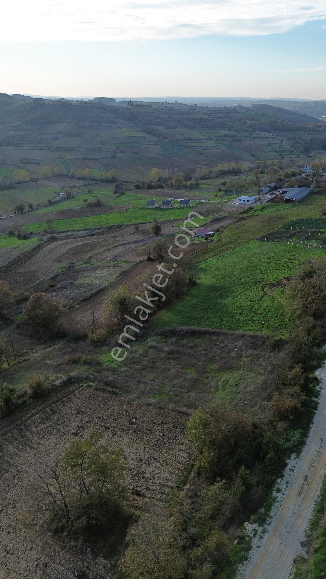 Kaynarca Şehytımarı Köyünde Asfalt Yola Yakın Tarla - Görsel 16