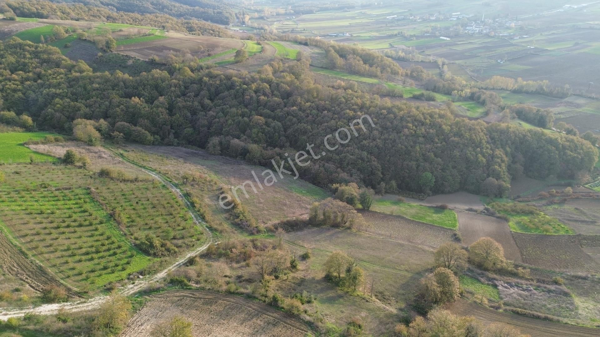 Kaynarca Şehytımarı Köyünde Asfalt Yola Yakın Tarla - Görsel 17