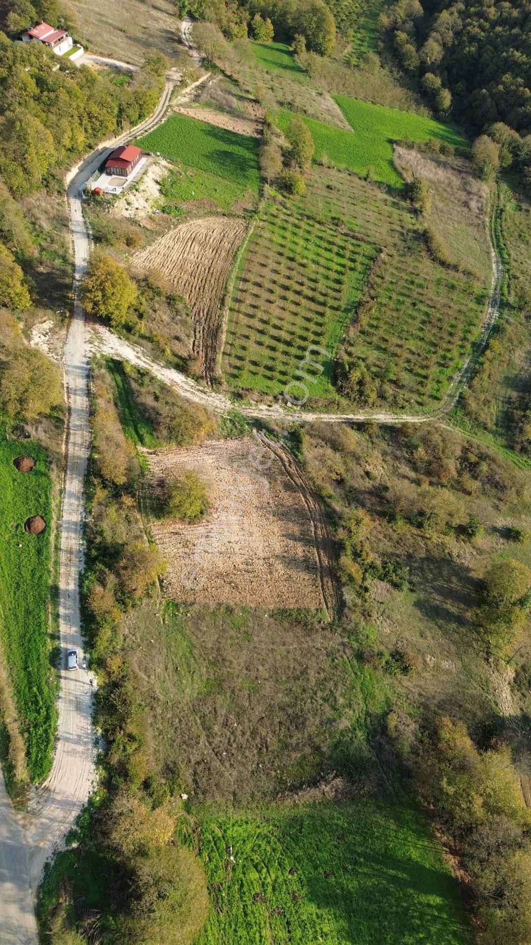 Kaynarca Şehytımarı Köyünde Asfalt Yola Yakın Tarla - Görsel 14