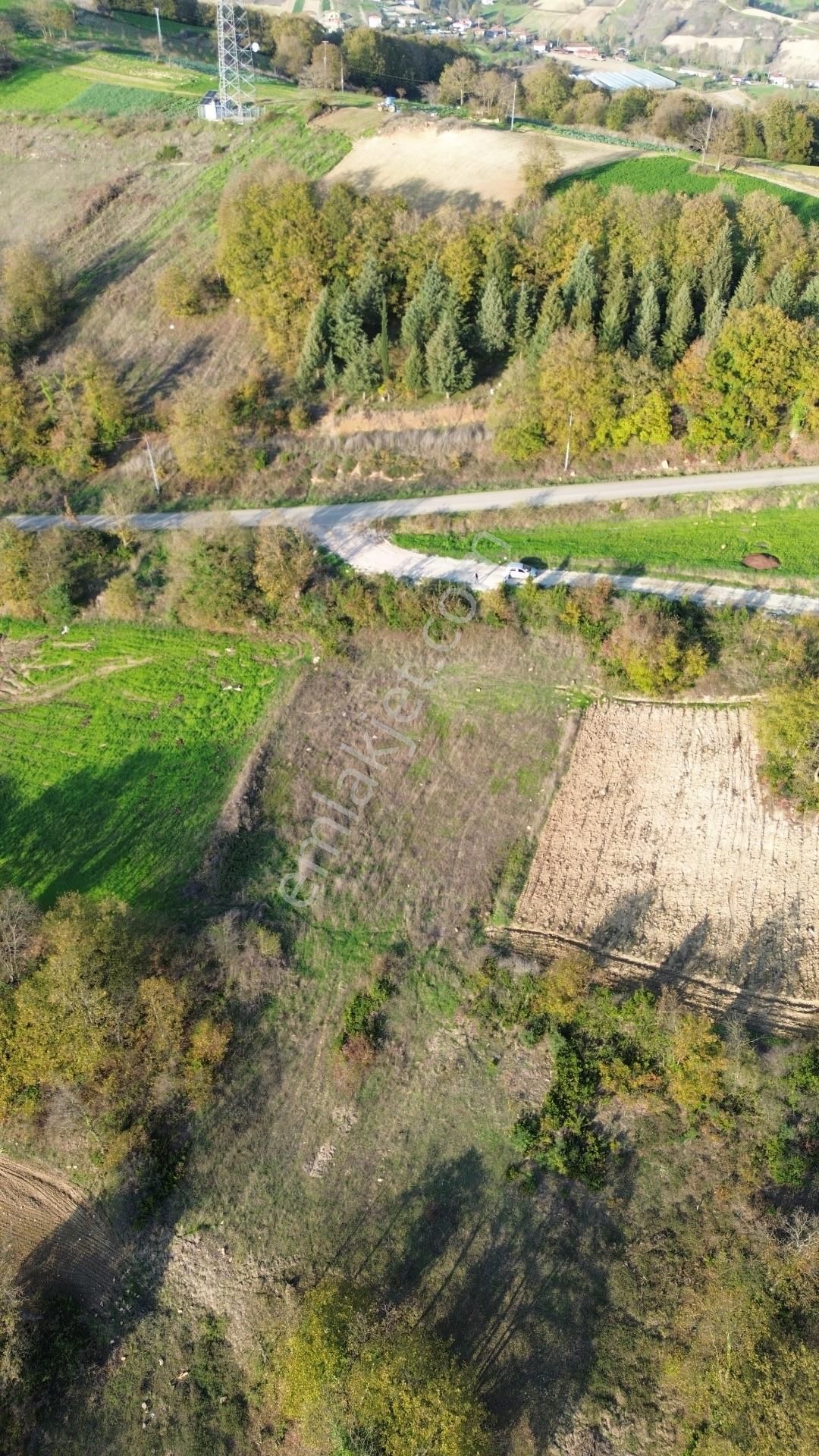 Kaynarca Şehytımarı Köyünde Asfalt Yola Yakın Tarla - Görsel 11