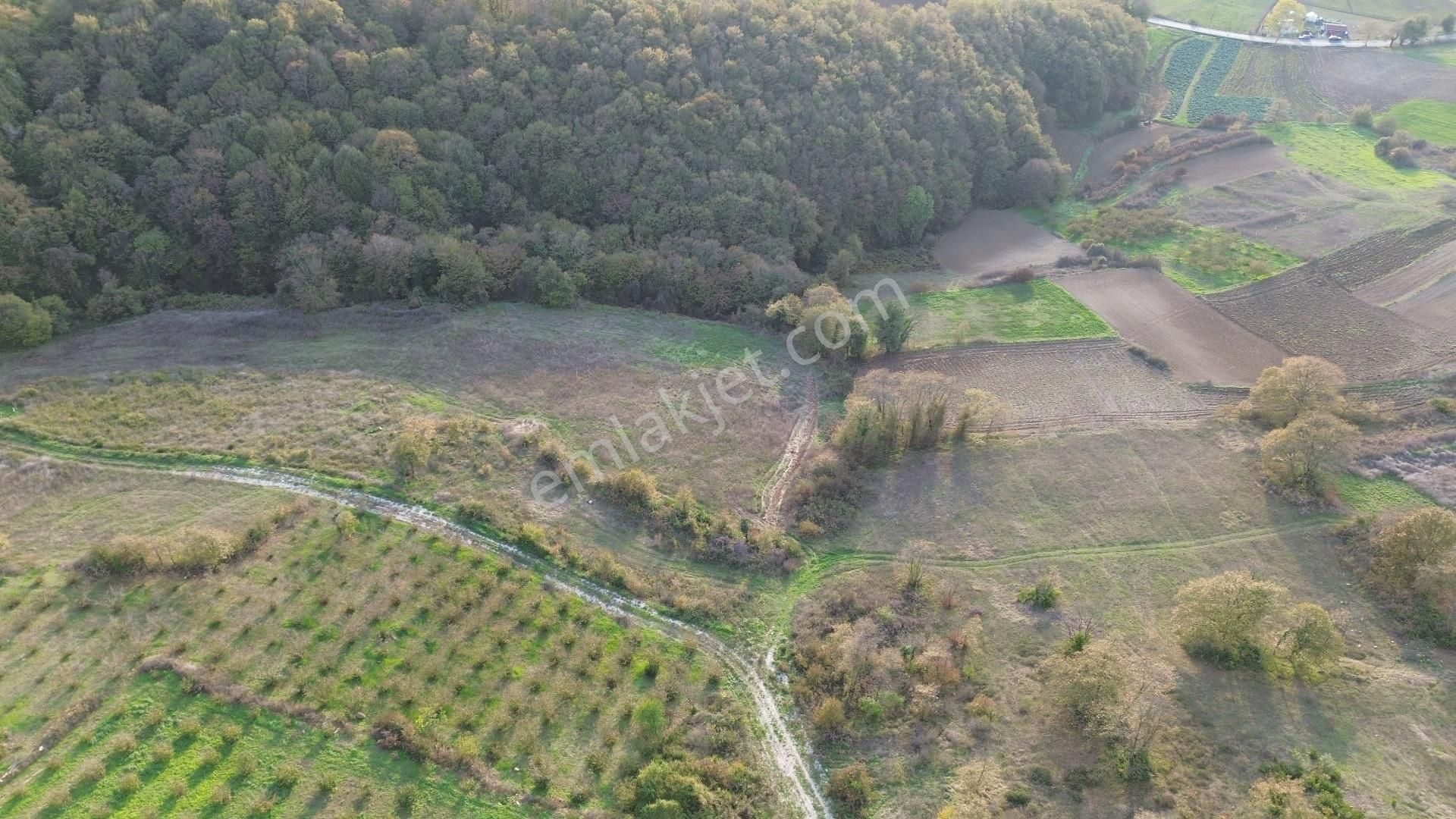 Kaynarca Şehytımarı Köyünde Asfalt Yola Yakın Tarla - Görsel 19