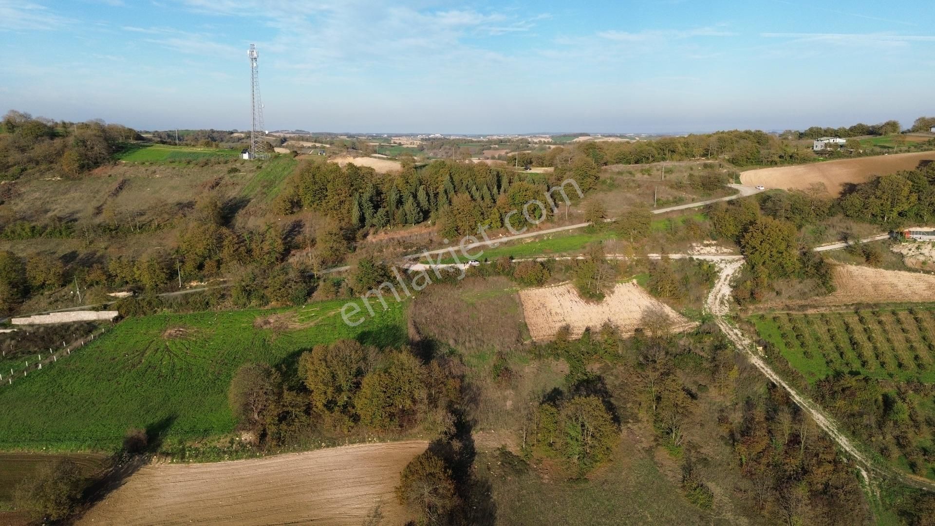 Kaynarca Şehytımarı Köyünde Asfalt Yola Yakın Tarla - Görsel 6