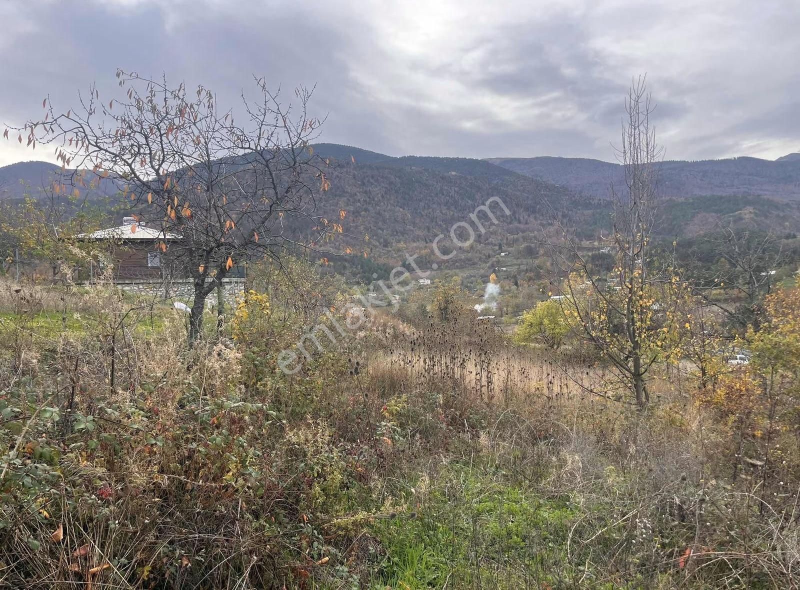 Hd Den Cemiyet Mevkiinde Satılık Bahçe - Görsel 3