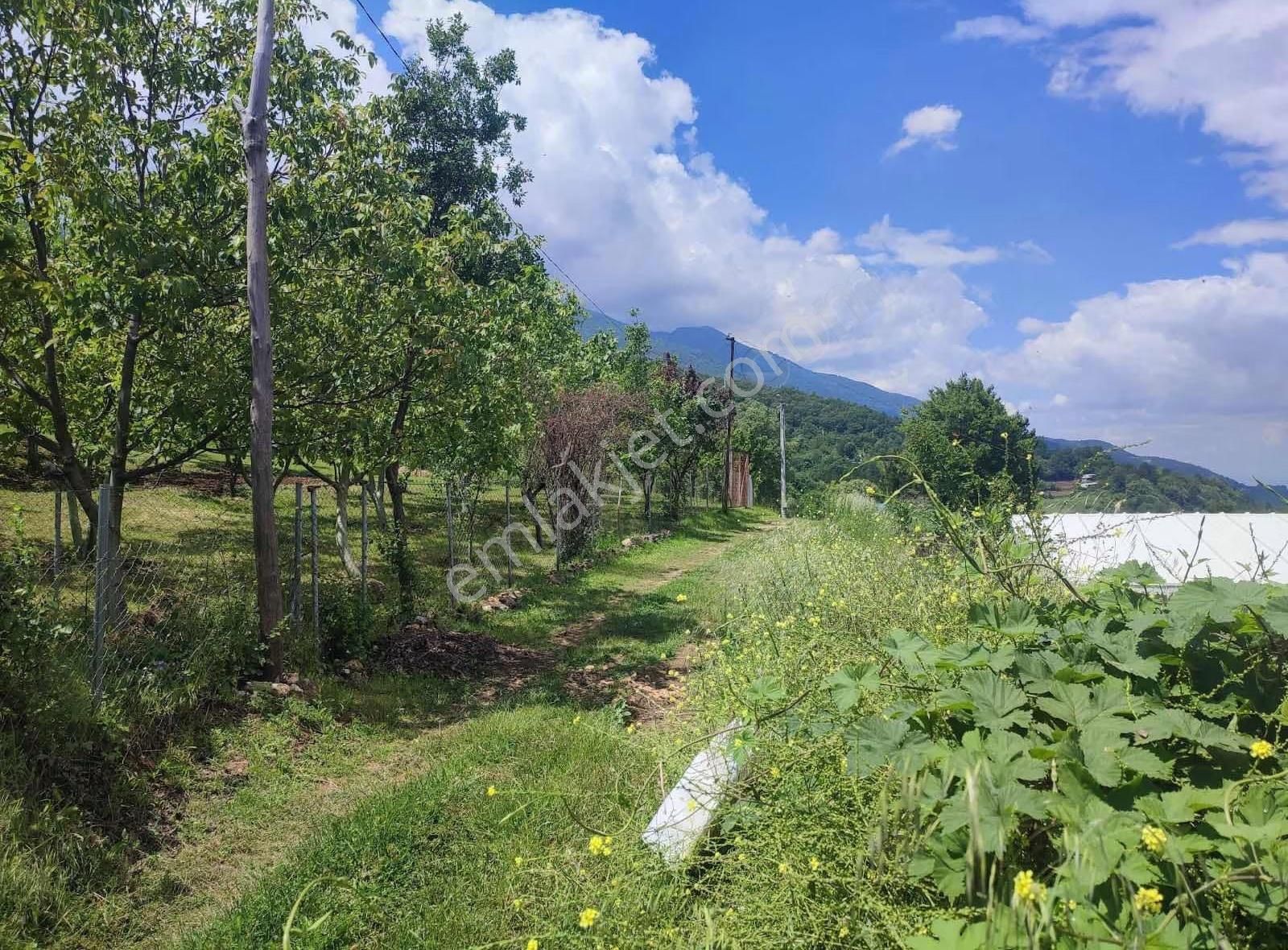 Hd'den Osmaniye Hazır Kurulu Bungalov