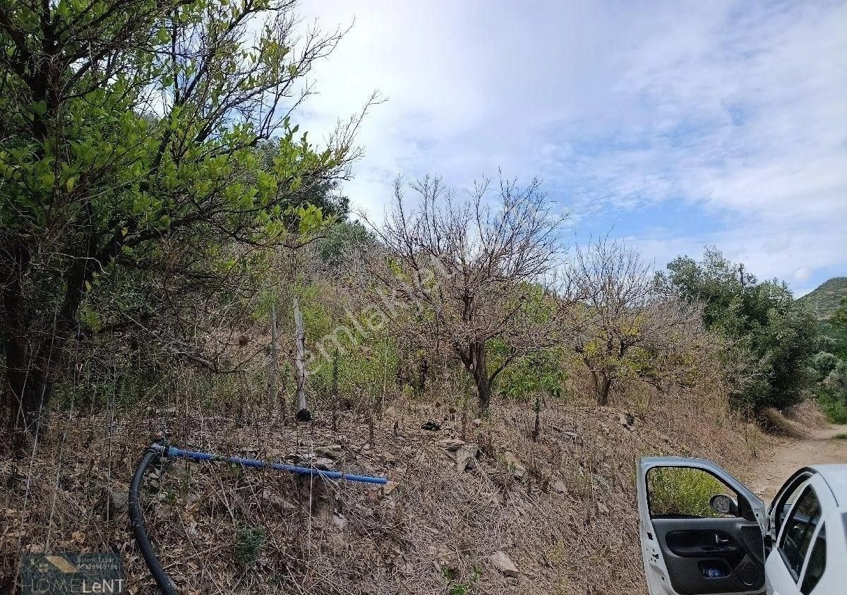 Gümüldür Merkez Satılık Arazi - Görsel 2