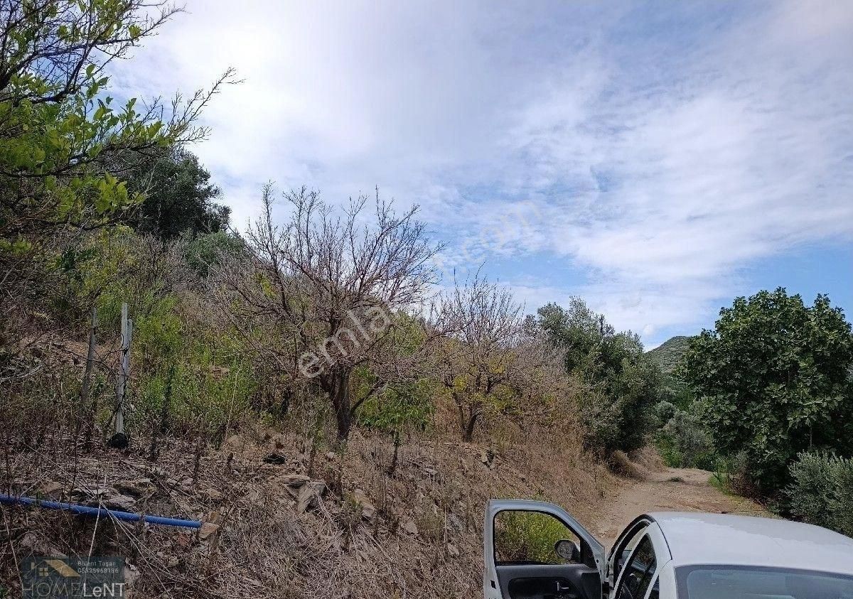 Gümüldür Merkez Satılık Arazi