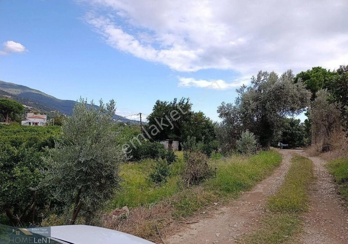 Gümüldür Merkez Satılık Arazi - Görsel 4