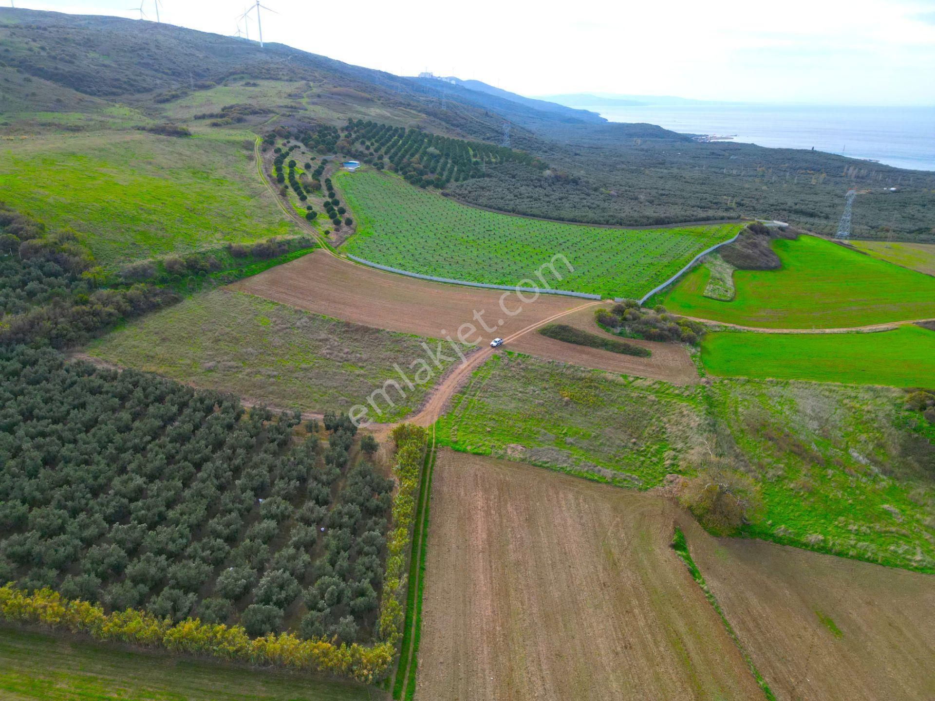 |erdek| Kapıdağ'ın İki Tarafını Da Gören Eşsiz Yatırımlık Arazi! | Bandırma 7 Dakika! - Görsel 17