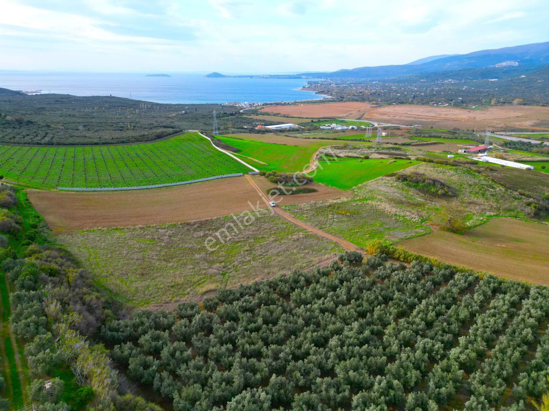 |erdek| Kapıdağ'ın İki Tarafını Da Gören Eşsiz Yatırımlık Arazi! | Bandırma 7 Dakika! - Görsel 14