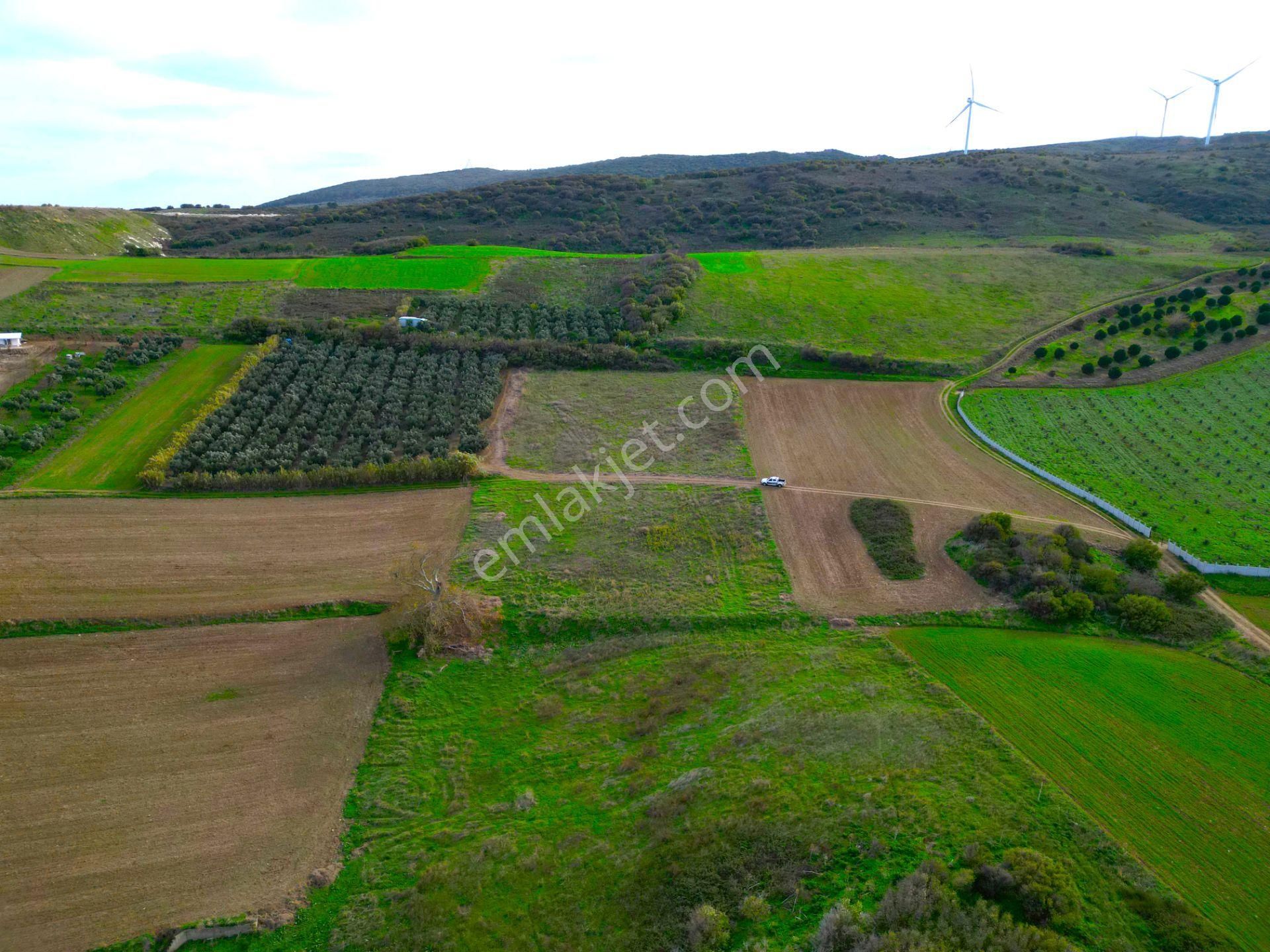 |erdek| Kapıdağ'ın İki Tarafını Da Gören Eşsiz Yatırımlık Arazi! | Bandırma 7 Dakika! - Görsel 21