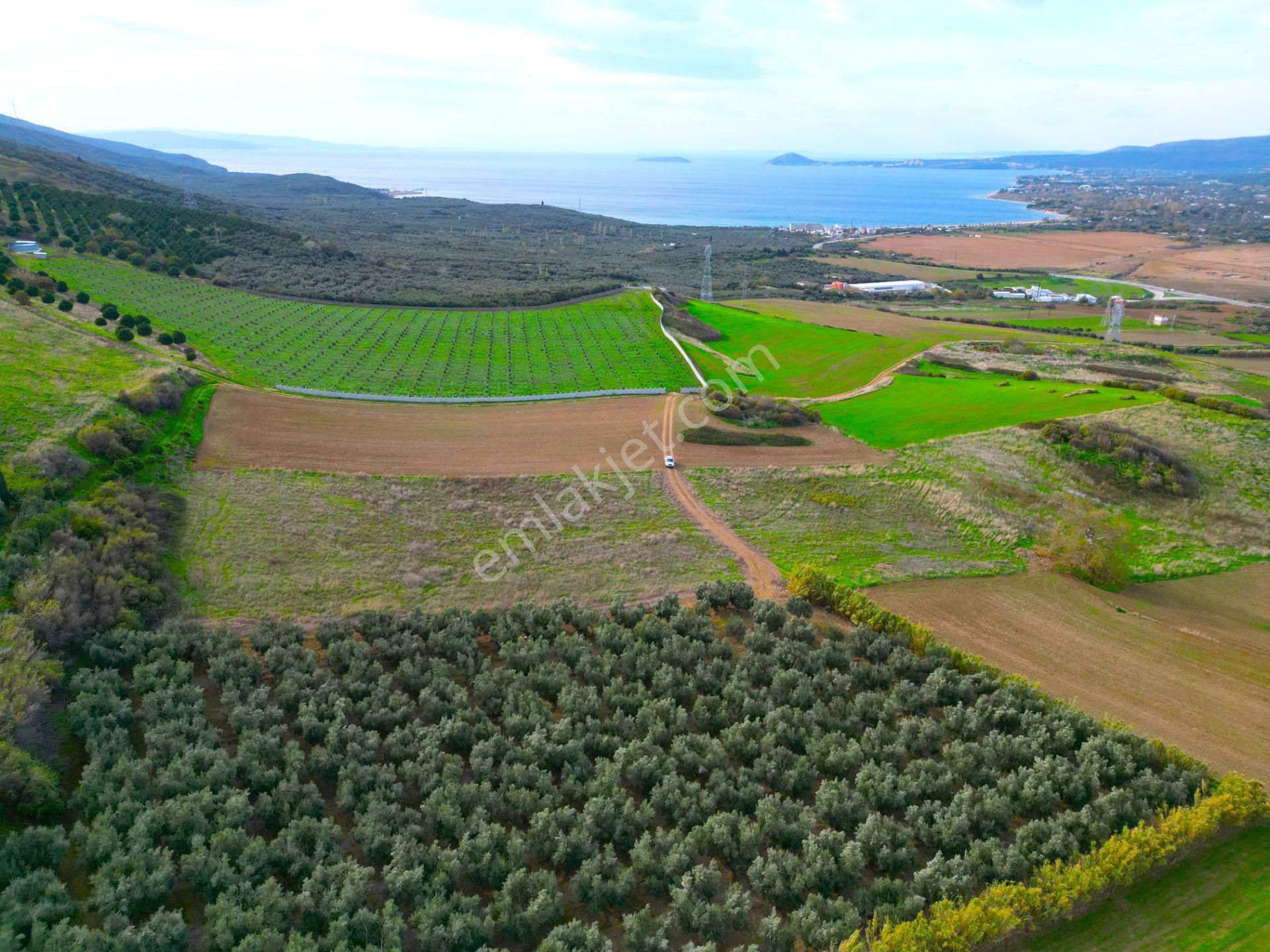 |erdek| Kapıdağ'ın İki Tarafını Da Gören Eşsiz Yatırımlık Arazi! | Bandırma 7 Dakika! - Görsel 15