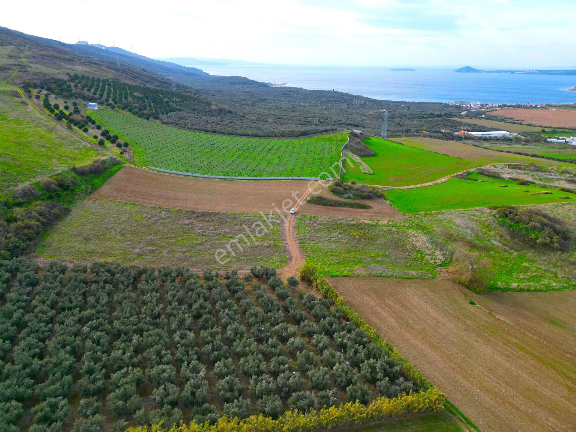 |erdek| Kapıdağ'ın İki Tarafını Da Gören Eşsiz Yatırımlık Arazi! | Bandırma 7 Dakika! - Görsel 16