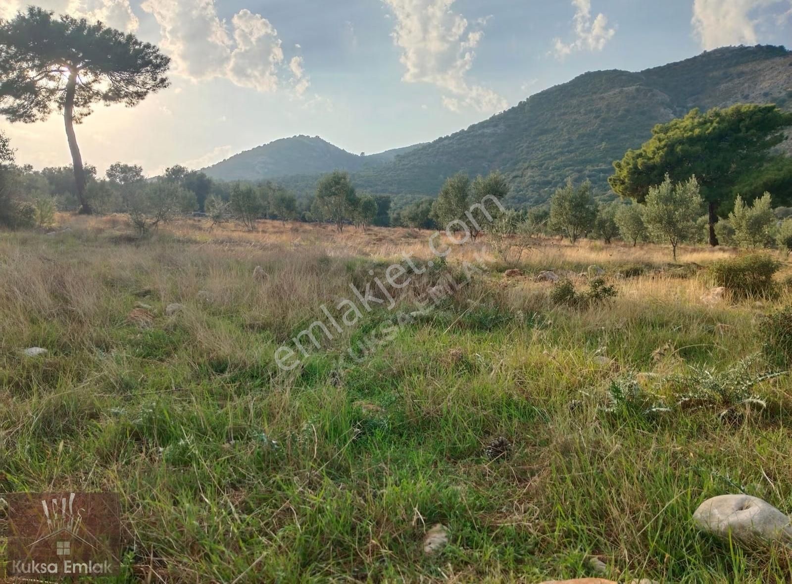 Yakabağ Mahallesinde 11.290m2 Tarla - Görsel 7