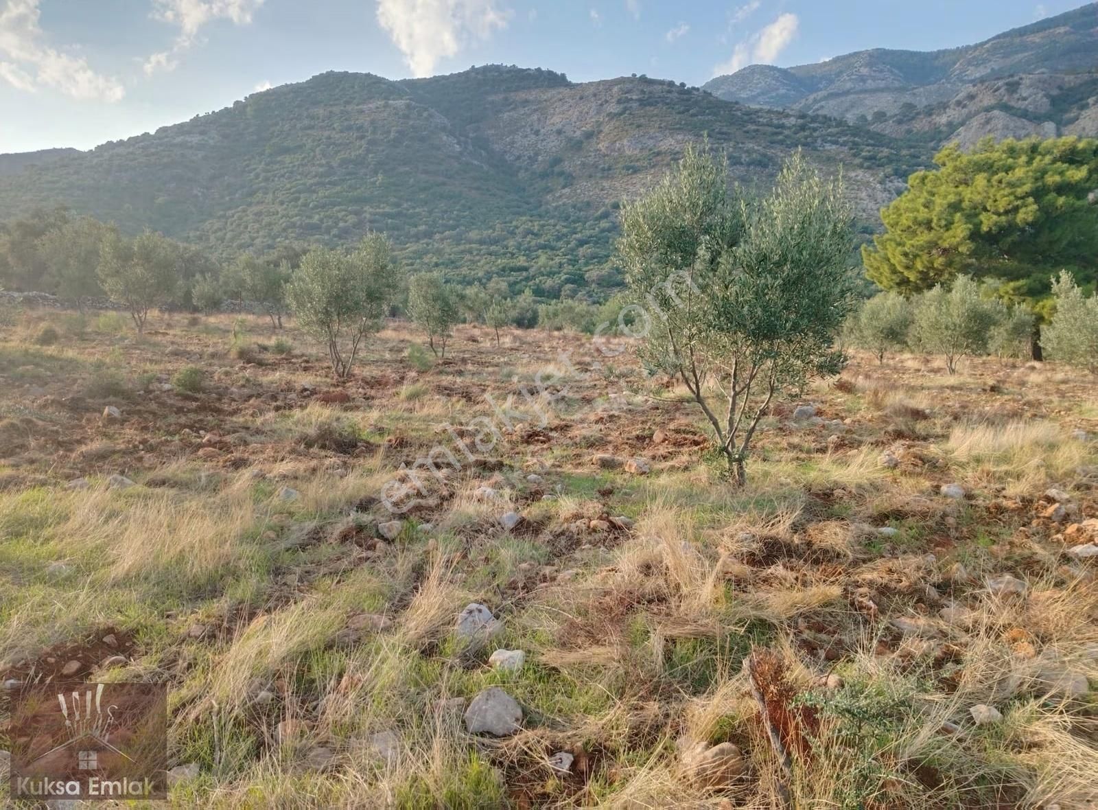 Yakabağ Mahallesinde 11.290m2 Tarla - Görsel 10