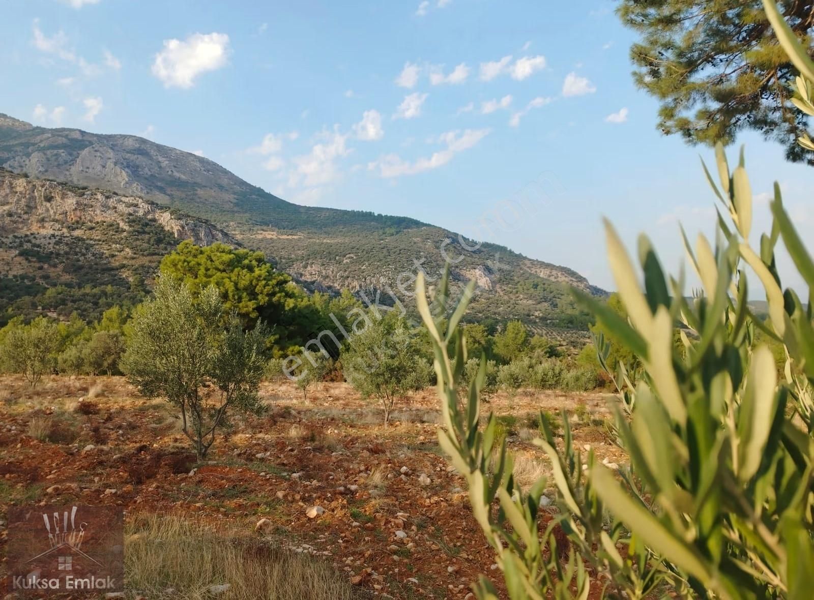 Yakabağ Mahallesinde 11.290m2 Tarla - Görsel 4