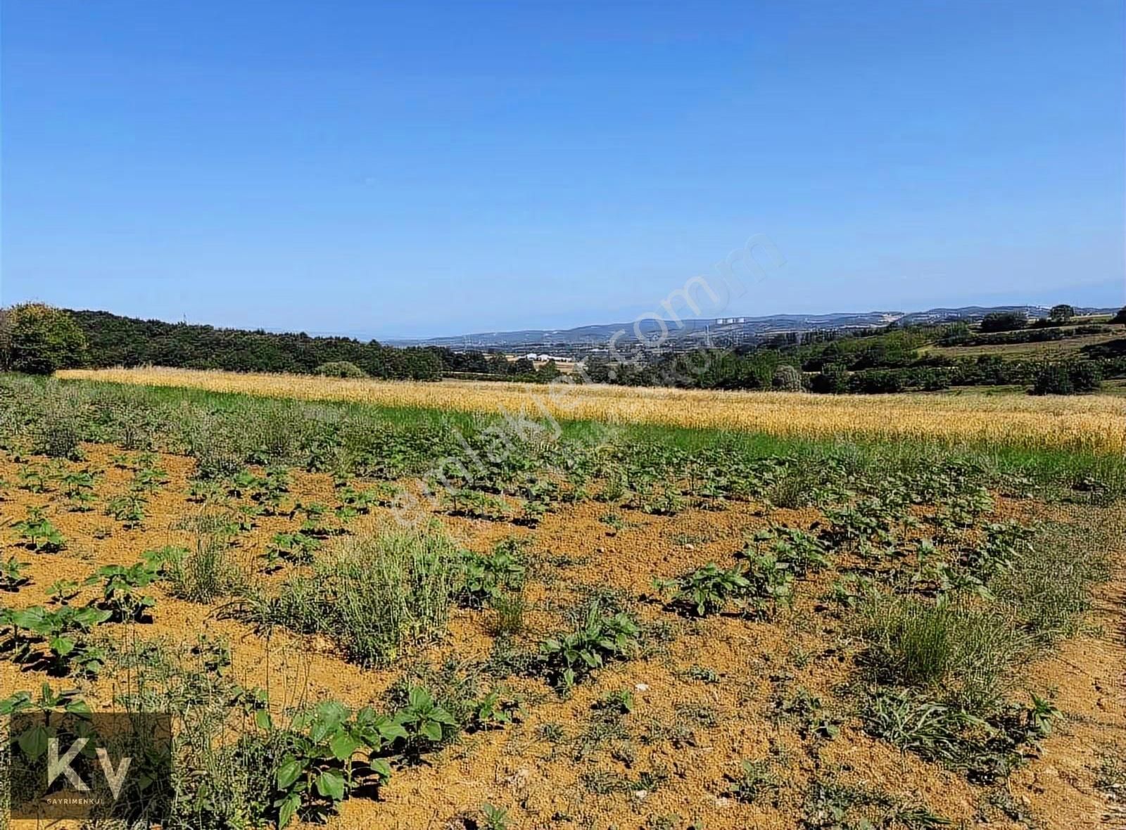 Kv Gayrimenkul'den Adapazarı Örentepe'de 1182 M² Satılık Tarla - Görsel 12