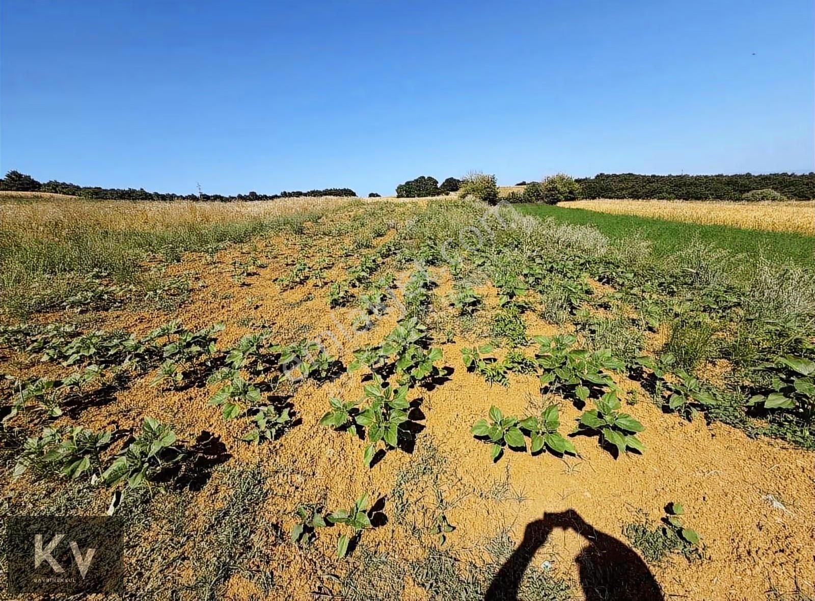 Kv Gayrimenkul'den Adapazarı Örentepe'de 1182 M² Satılık Tarla - Görsel 15