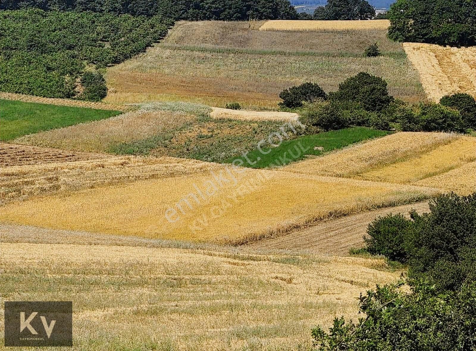 Kv Gayrimenkul'den Adapazarı Örentepe'de 1182 M² Satılık Tarla - Görsel 7