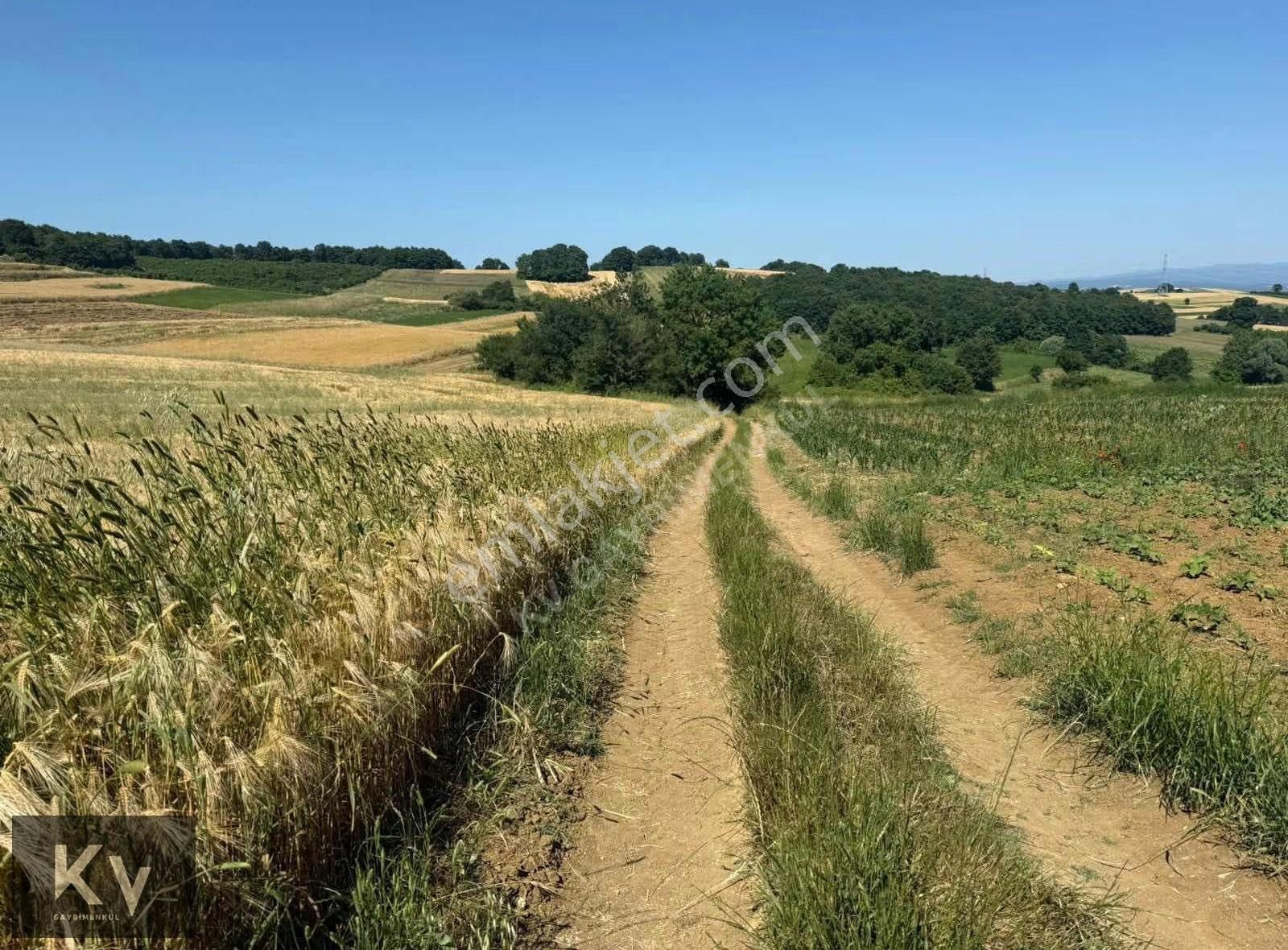 Kv Gayrimenkul'den Adapazarı Örentepe'de 1182 M² Satılık Tarla - Görsel 9
