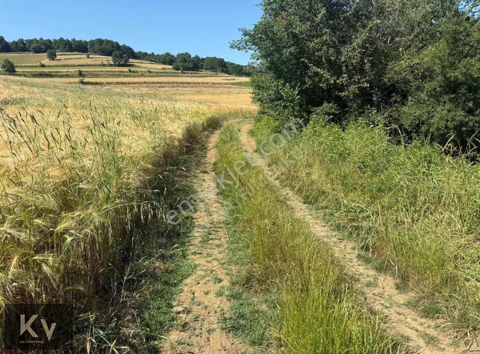 Kv Gayrimenkul'den Adapazarı Örentepe'de 1182 M² Satılık Tarla - Görsel 11