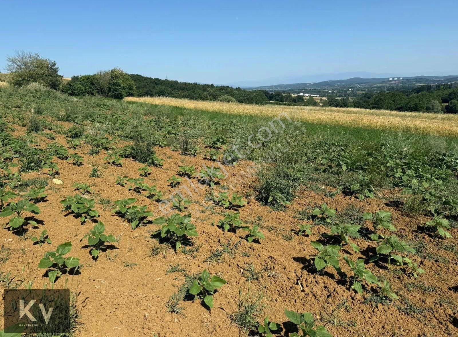 Kv Gayrimenkul'den Adapazarı Örentepe'de 1182 M² Satılık Tarla - Görsel 8