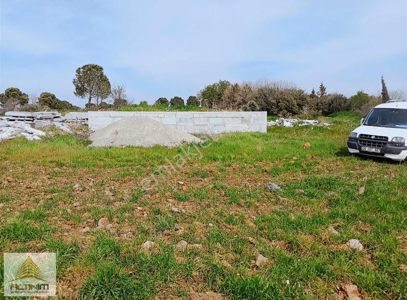 Zeytindağ'da 5250 M2 Satılık Zeytinlik - Görsel 7