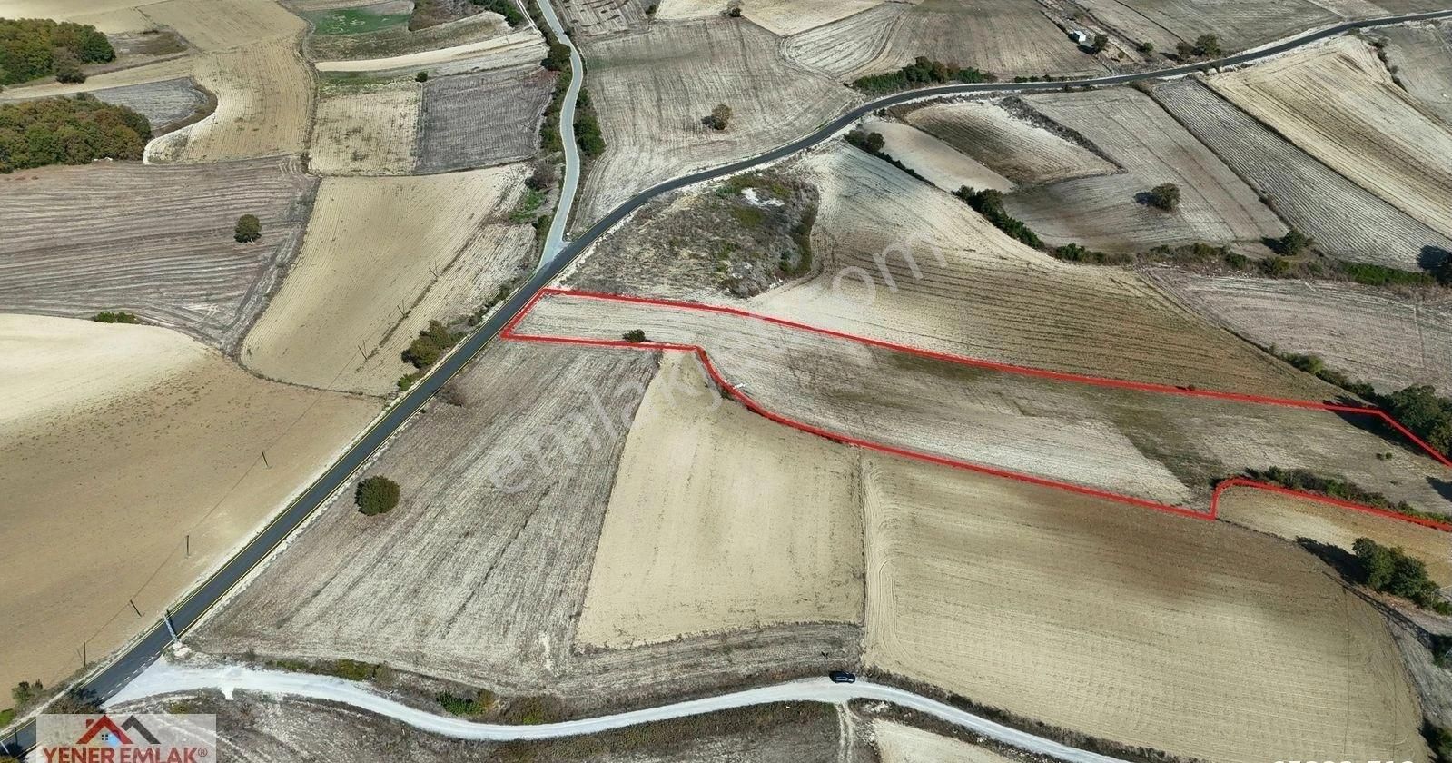 Emsallerinin Çok Altında ▒ Kaynarca Kertil 12.557m2 Fırsat Tarla - Görsel 14