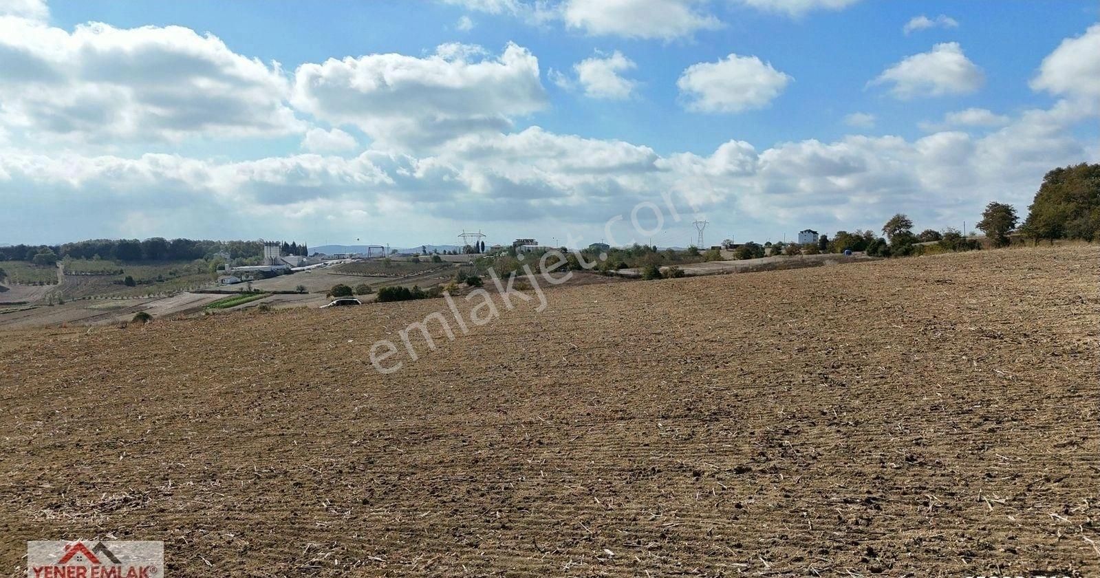 Emsallerinin Çok Altında ▒ Kaynarca Kertil 12.557m2 Fırsat Tarla - Görsel 20